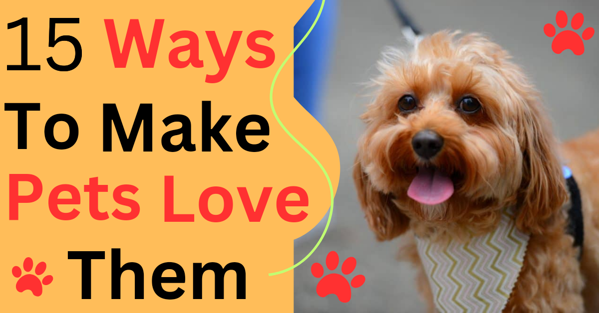 15 Ways To Make Pets Love Them