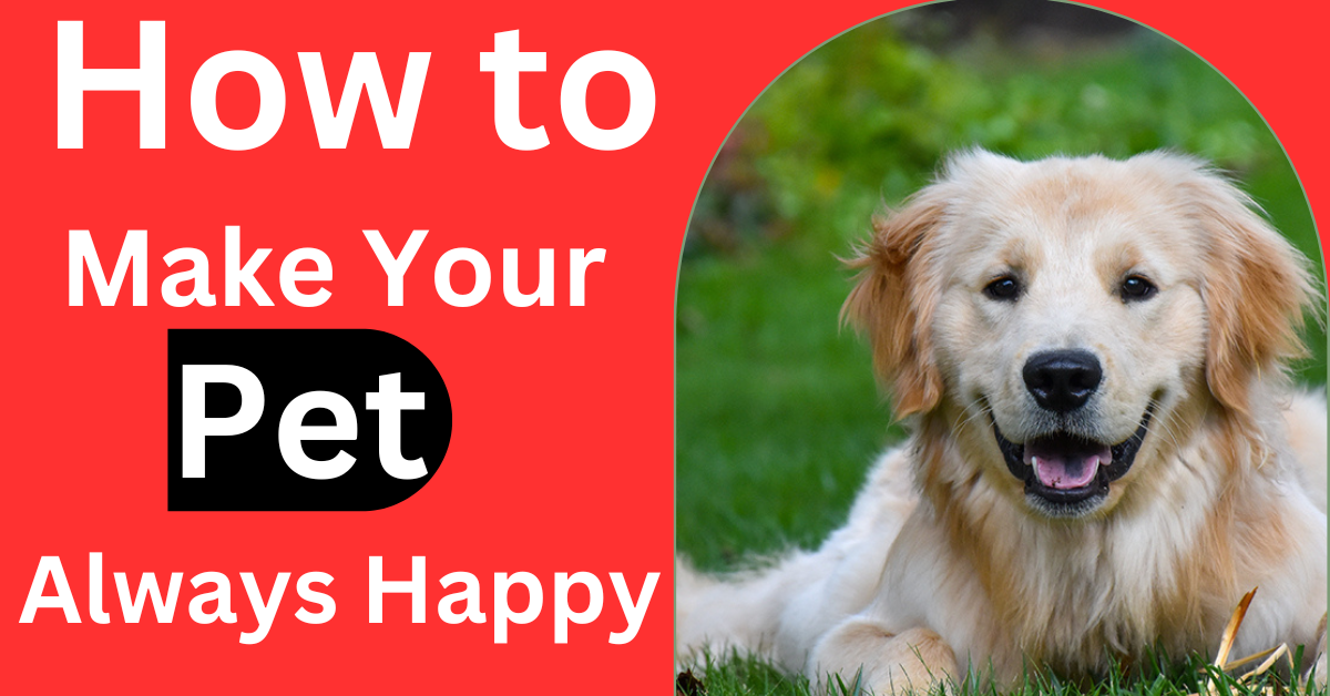 How To Make Pets Happy